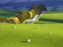 Agevolazioni imposta di registro per gli  imprenditori agricoli , Cassazione sentenza n. 16072 del 2013  ,