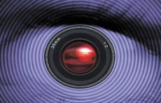 Videocontrolli, presenze false - truffa aggravata e peculato - Cassazione sentenza n. 30177 del 2013