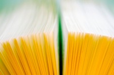 Cancellazione società ricorso inammissibile - Cassazione sentenza n. 7327 del 2013