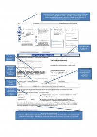 Cartelle esattoriali: obbligatorio indicazione dell’imponibile, l’aliquota applicata e i conteggi iscritti a ruolo - Cassazione sentenza n. 24944 del 2013