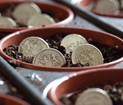 I decrementi di capitale proprio sono rappresentati dalle riduzioni del patrimonio netto con attribuzione, a qualsiasi titolo, ai soci/partecipanti. Rilevano pertanto la devoluzione di riserve di utili, la devoluzione di capitale/riserve di capitale (ad esempio, riduzione del capitale sociale). Non rilevano invece, quali decrementi, le riduzioni di patrimonio derivanti da perdite e le distribuzioni dell’utile dell’esercizio. Possono beneficiare dell’A.C.E. anche le imprese individuali e le società di persone (snc, sas); in questo caso si applicano, “in quanto compatibili”, le regole sopra esaminate con riguardo ai soggetti Ires; considerando tuttavia, in luogo della variazione in aumento del capitale proprio, “il patrimonio netto risultante dal bilancio al termine di ciascun esercizio”, non assume alcuna rilevanza la variazione del capitale proprio; di conseguenza, l’intero patrimonio netto di ciascun esercizio costituisce la base su cui applicare il rendimento nozionale. Non assume alcuna rilevanza il fatto che si tratti di capitale di “vecchia” formazione (ossia risultante dal 2010) ovvero di “nuova” formazione, anche derivante da apporti in natura.