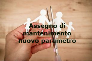 assegno di mantenimento nuovo parametro