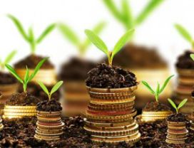 reddito agrario presupposti della tassazione
