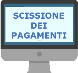 split payment i nuovi elenchi